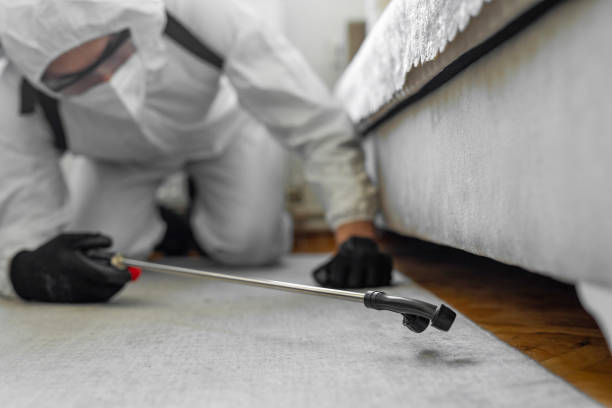 Professional Bed Bug Control technician working in Kulpsville, PA